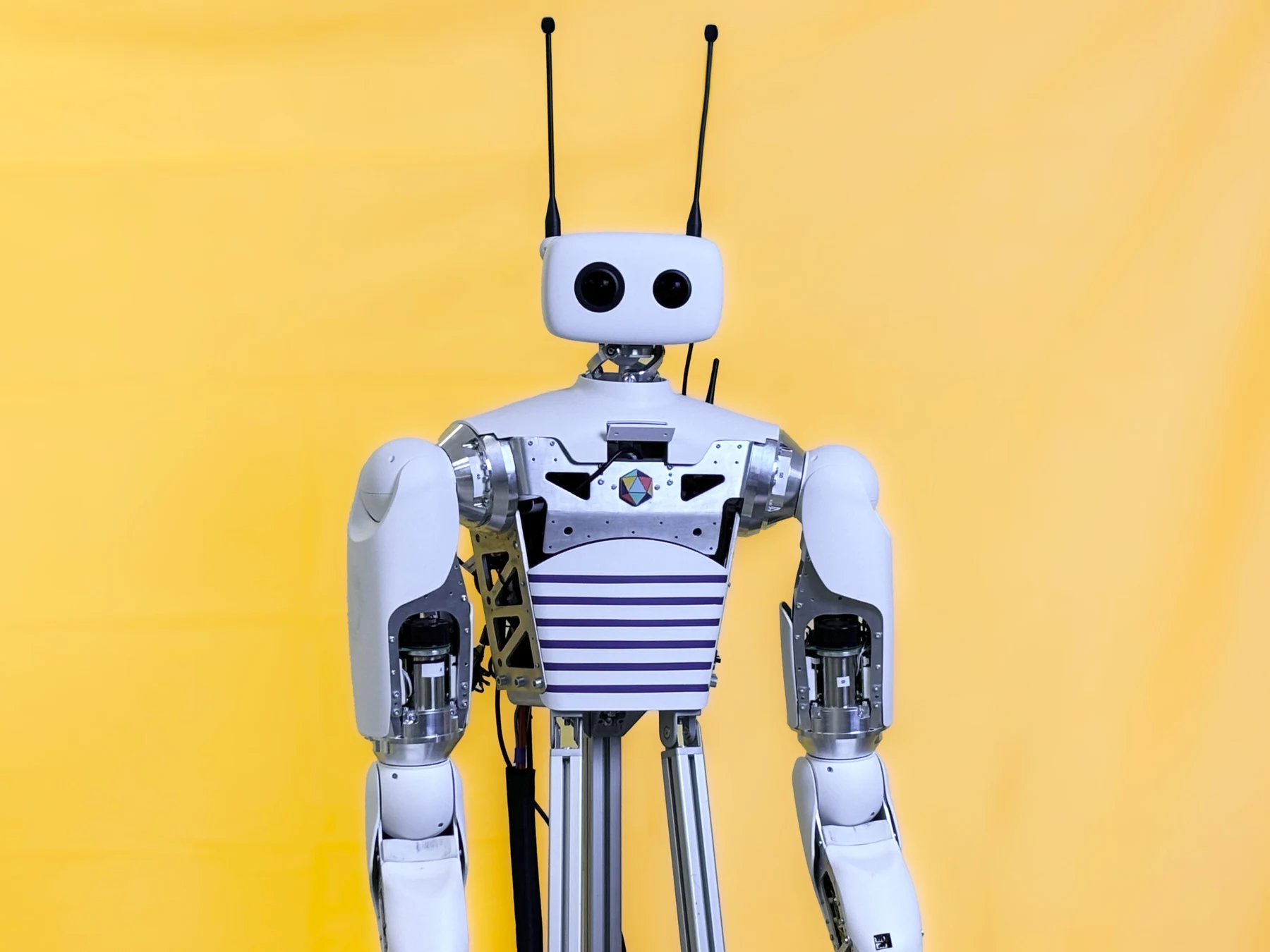 Original Pollen Robotics Reachy humanoid torso from the 2021 generation