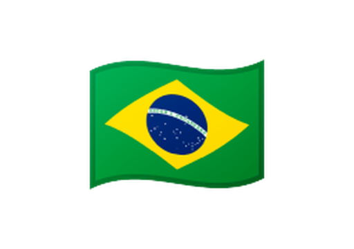 Brazil flag